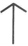 Tyr Rune | Washington D.C ADL